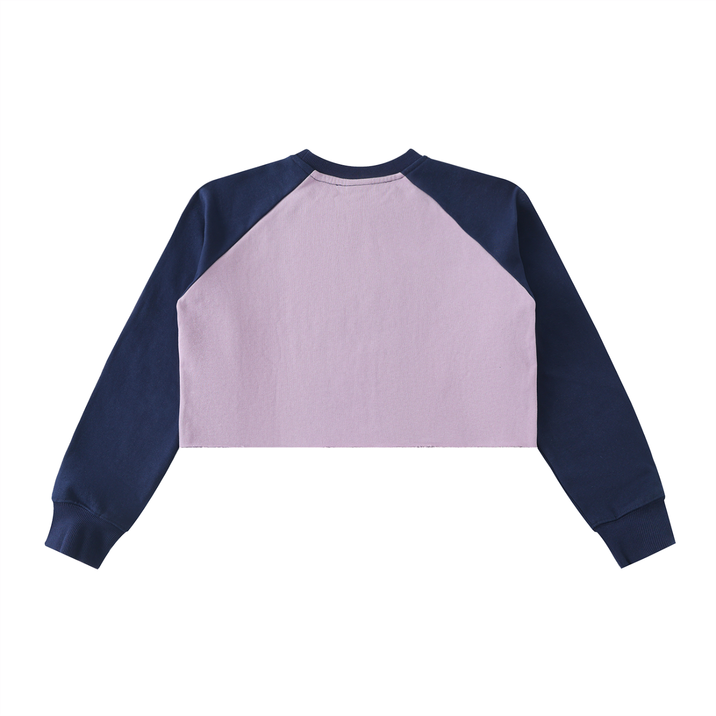 Cropped Dystopia Sweatshirt